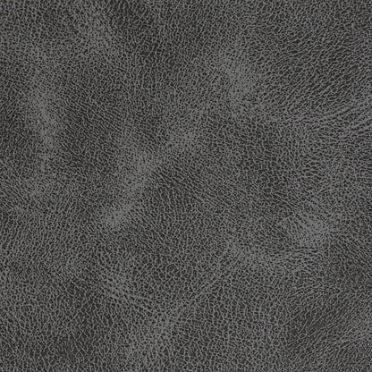 Africa