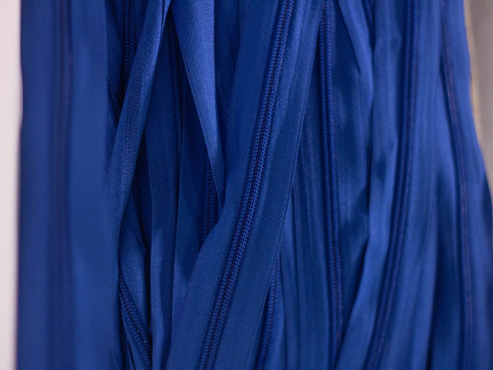 Rajfeslus tapetarski