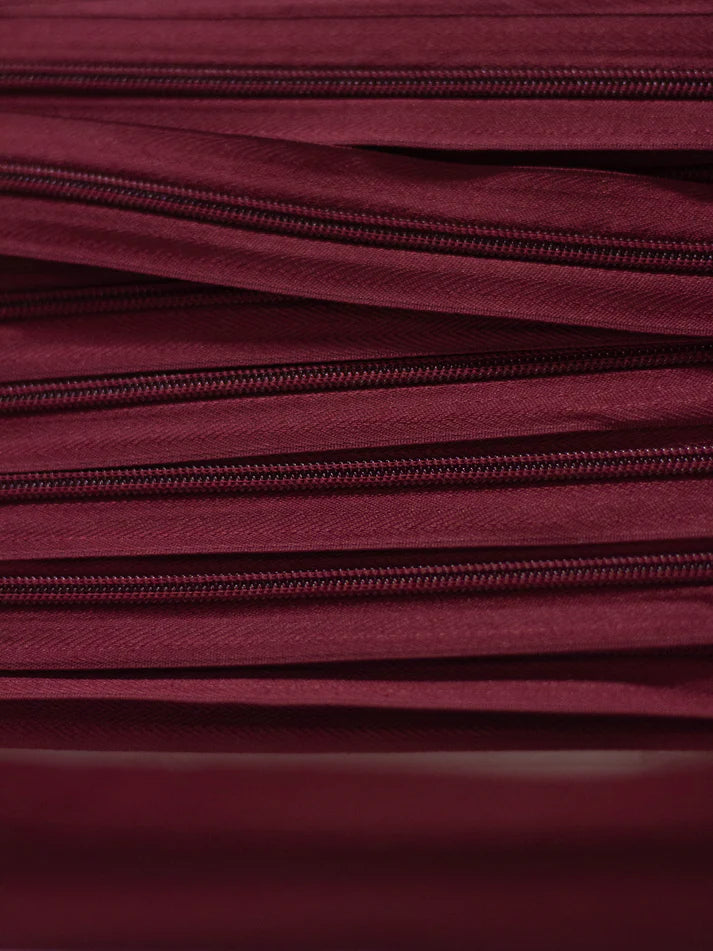 Rajfeslus tapetarski