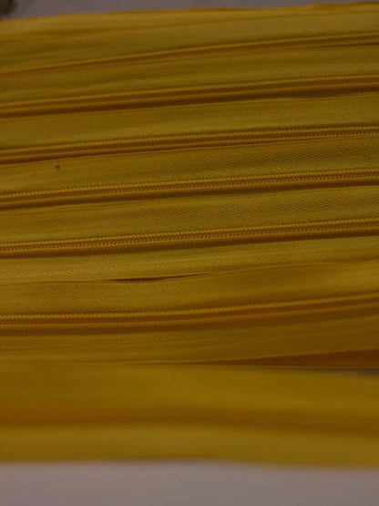 Rajfeslus tapetarski