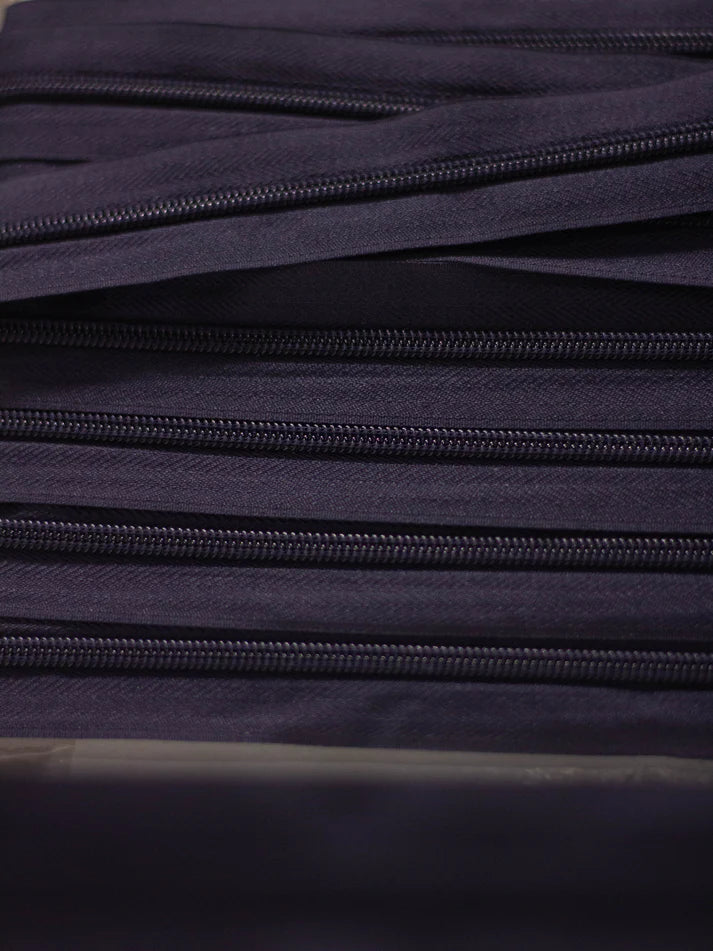 Rajfeslus tapetarski